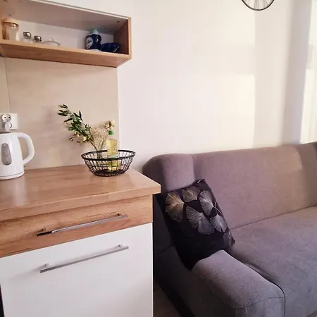 Casa Mama Centrum Iii Lazarski דירה פוזנן