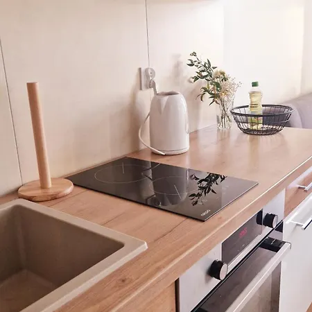 Apartment Casa Mama Centrum Iii Lazarski Poznan